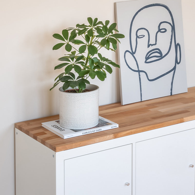 Eine Vollholz Platte aus Buche liegt auf einem Kallax Regal von IKEA. Zudem wurde mit einer Vase, einem Buch und einem Bild dekoriert.